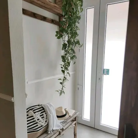 Exotic Flavour House 招待所 斯培西亚