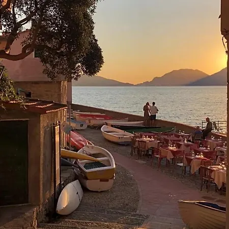 Exotic Flavour House *