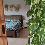 Exotic Flavour House