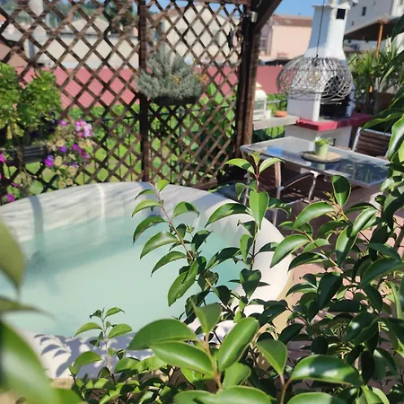 בית הארחה Exotic Flavour House