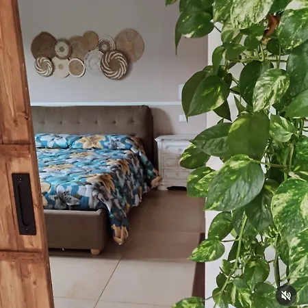 Exotic Flavour House