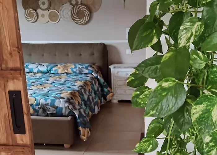 Exotic Flavour House